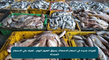 تغيرات جديدة في أسعار الأسماك بسوق العبور اليوم.. تعرف على الأسعار المحدثة